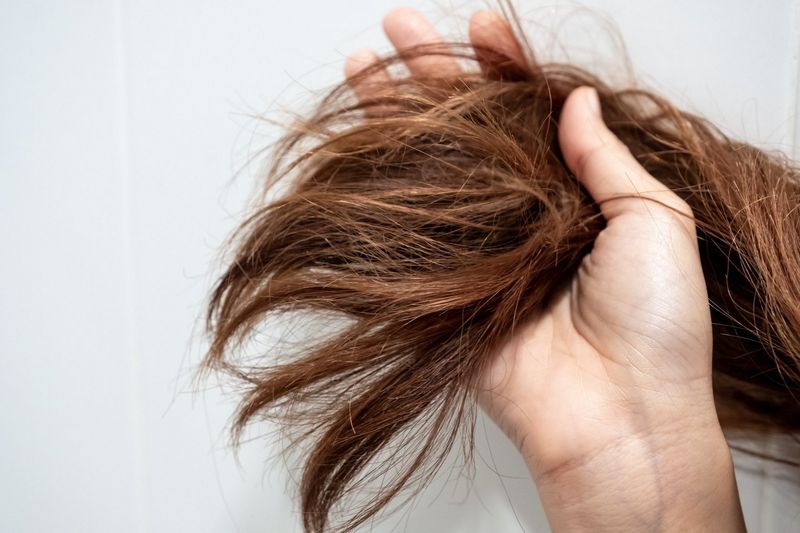 Split End Explosion Before Professional Photos