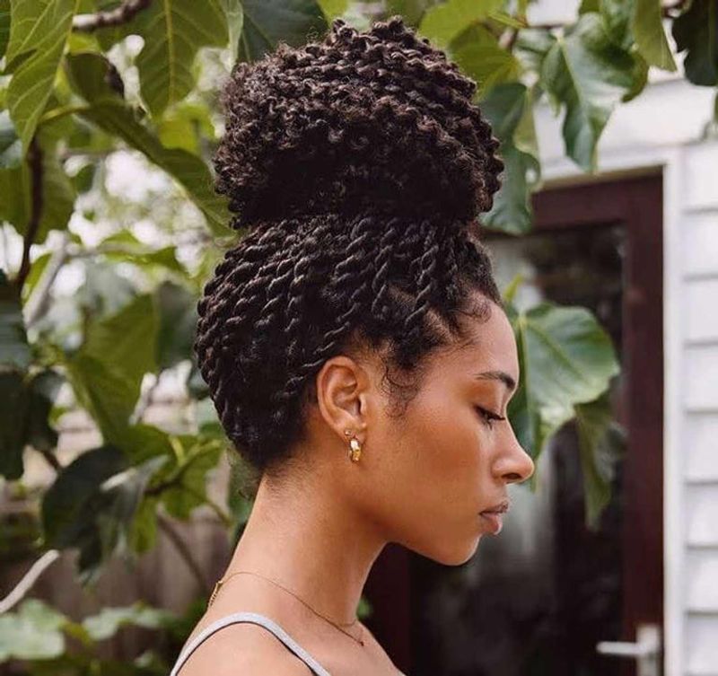 Passion Twist Updo
