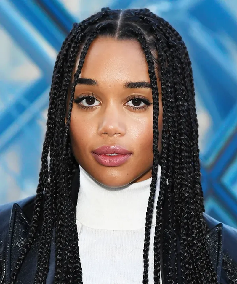 Box Braids: Ancient Roots, Modern Statement