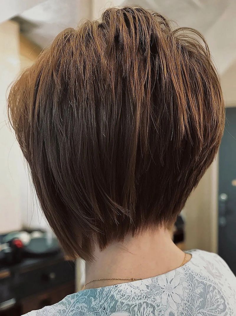 Classic Tapered Pixie Bob
