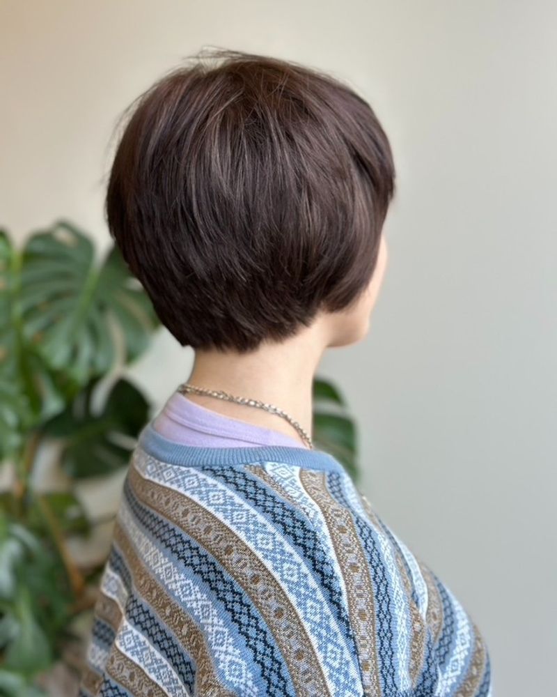 Tousled Pixie-Bob Hybrid