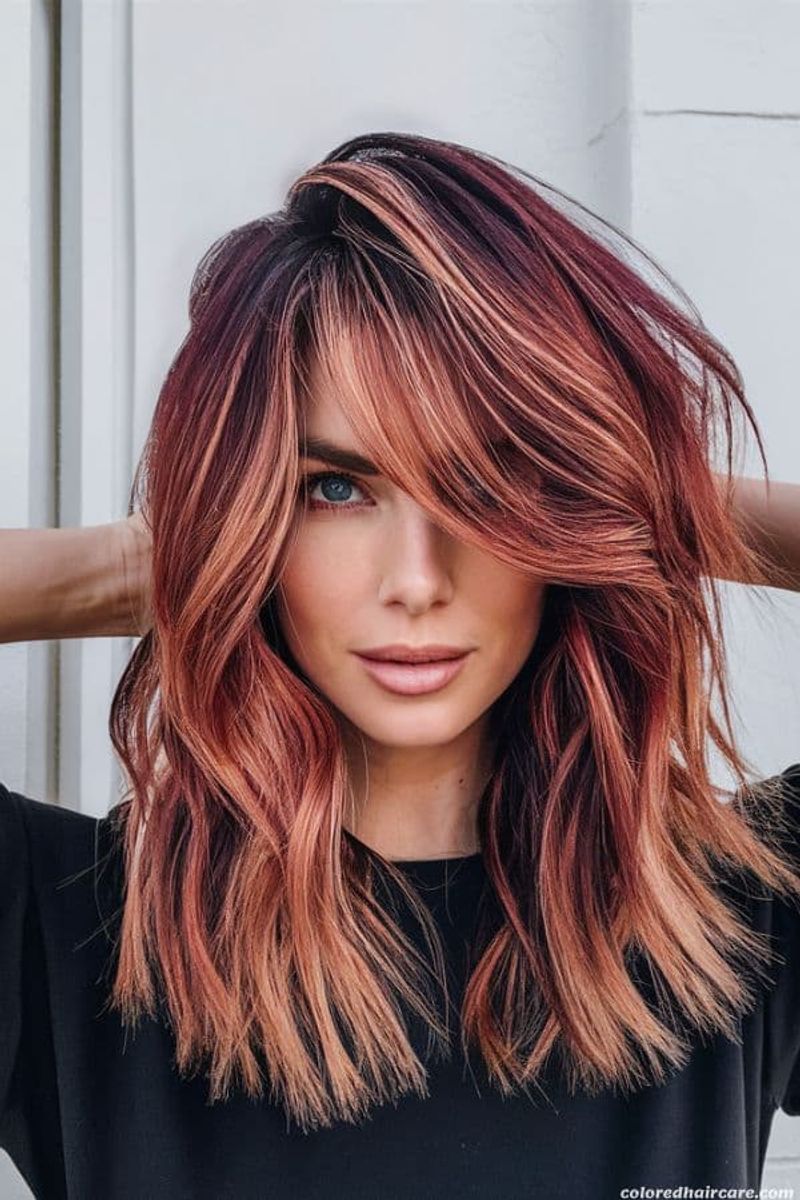 Cinnamon Highlights