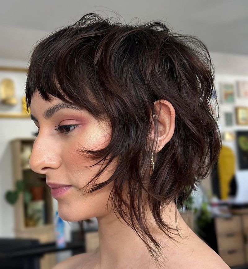 Shaggy Pixie-Bob