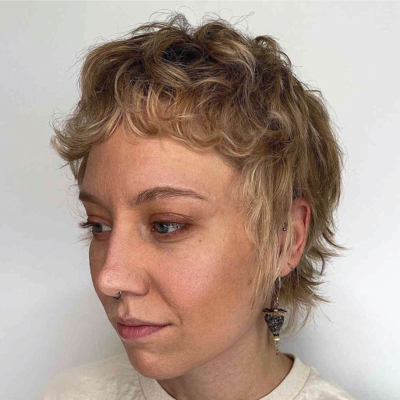Modern Mixie
