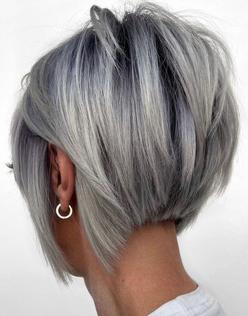 Pixie-Bob Hybrid with Nape Detailing