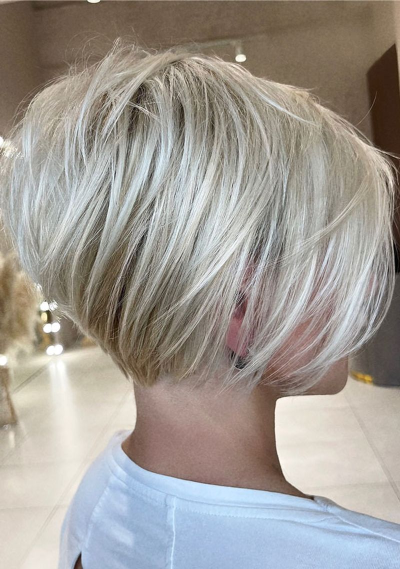 Wispy Pixie-Bob Hybrid
