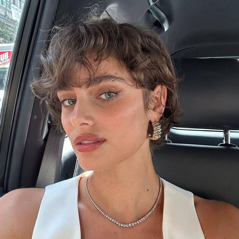 Pixie-Bob Hybrid
