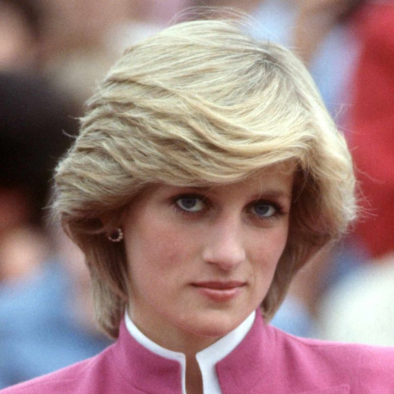 Princess Diana's Feathered Shag