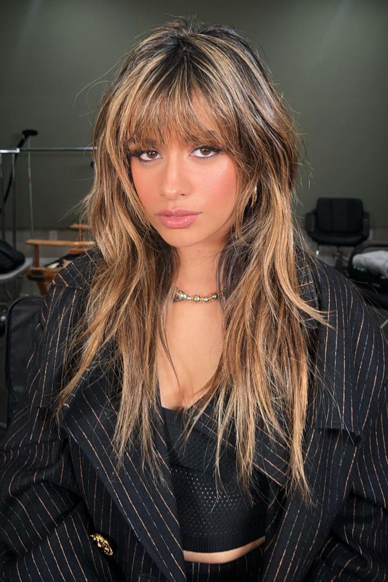 Wolf Cut with Chunky Highlights