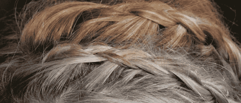 Leo Rising Crown Braid