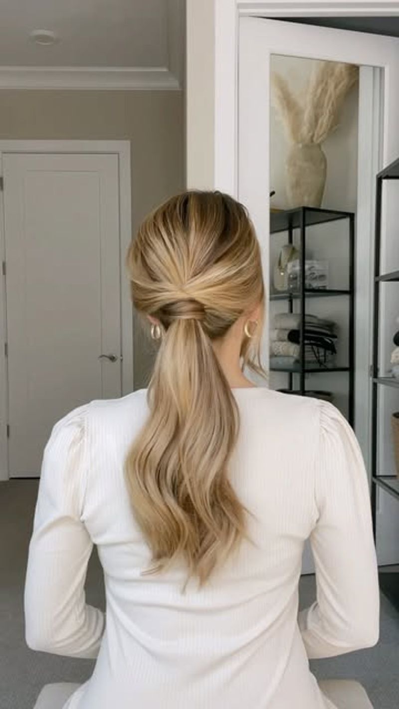 Sleek Low Ponytail