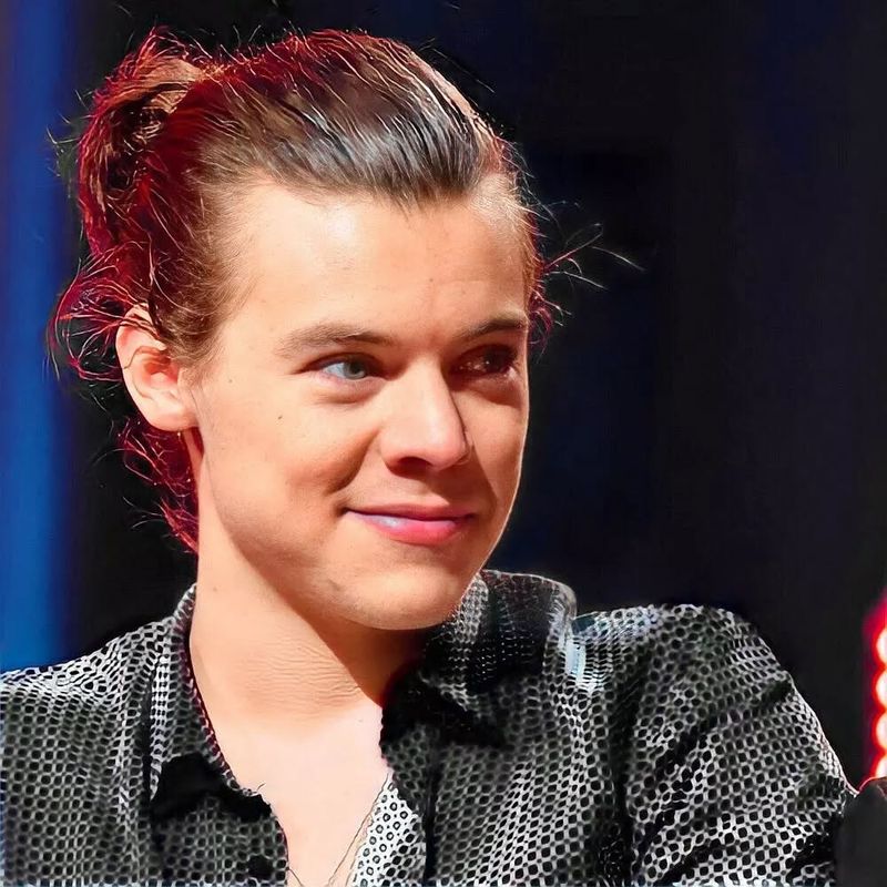 Harry Styles' Flowing Man Bun
