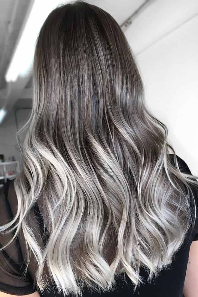 Silver Fox Gradient