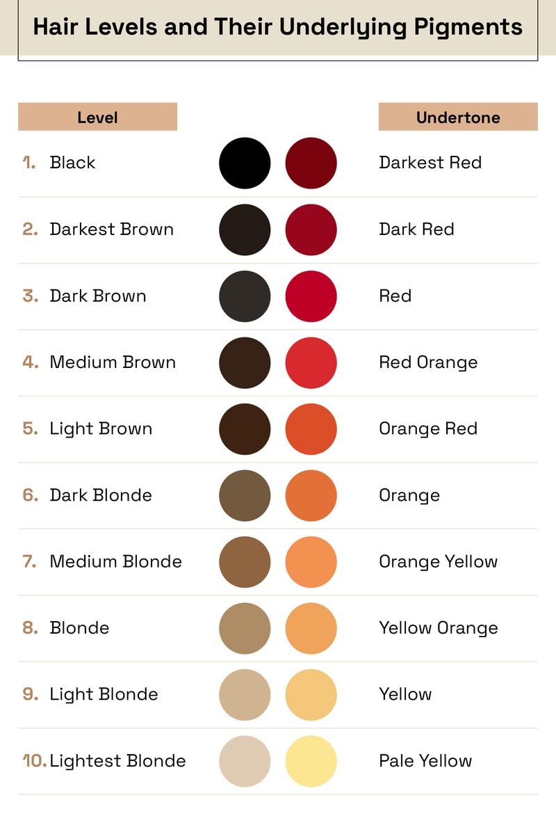 Professional Color Vocabulary