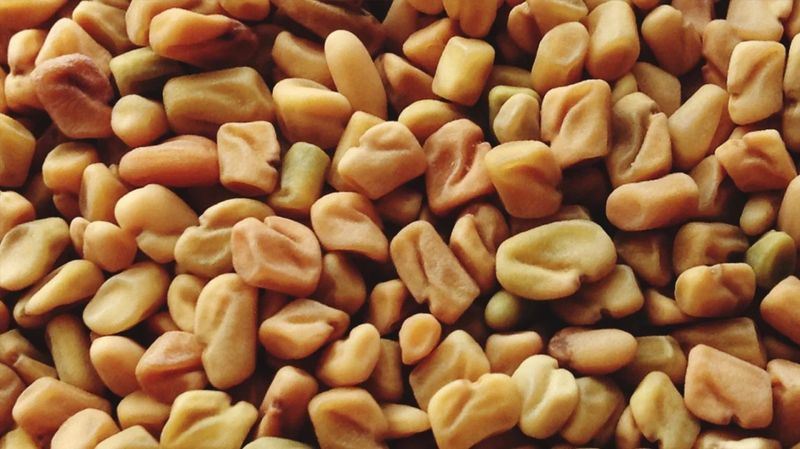 Pasta di semi di fieno greco