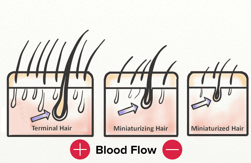 Blood Flow Is Hair Growth's Best Friend