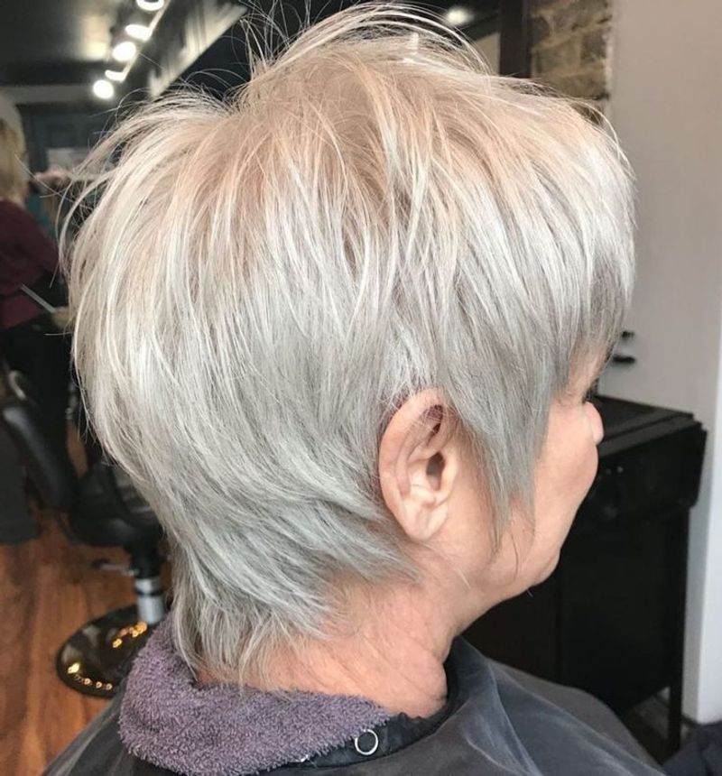 Silver Feathered Freedom