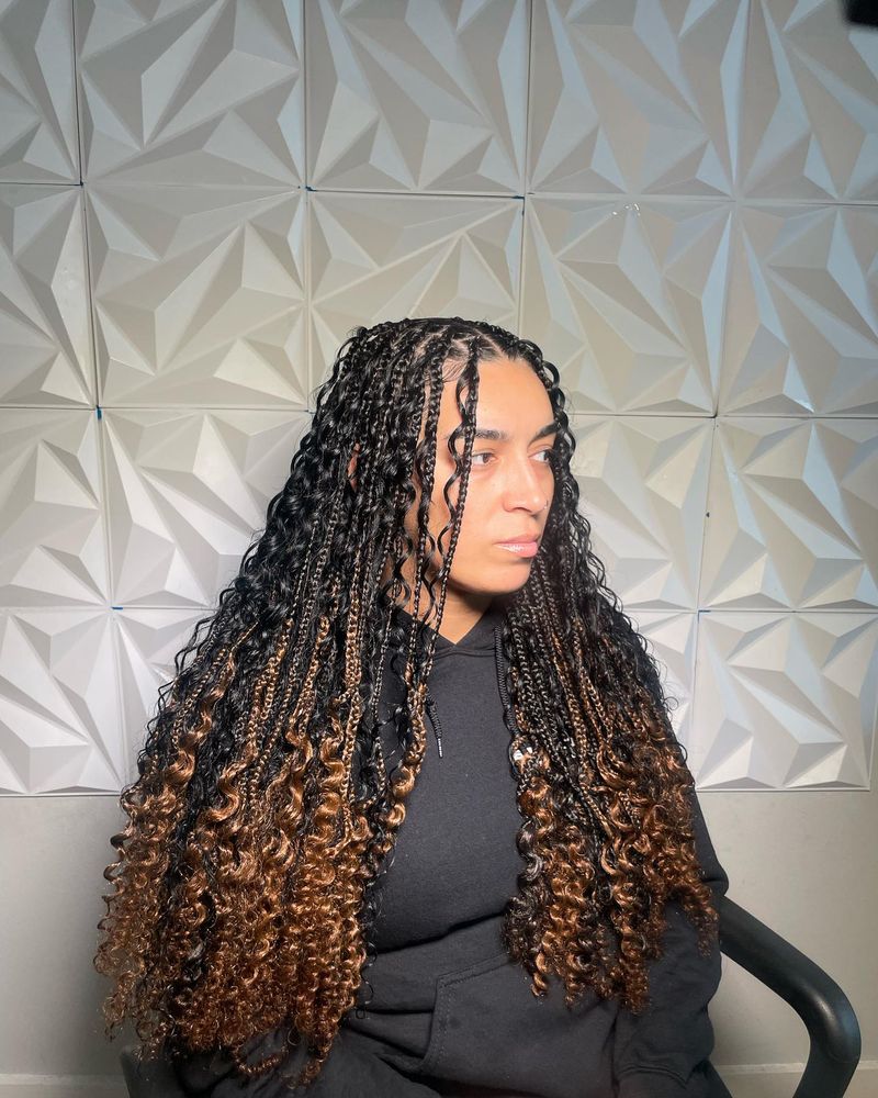 Knotless Braids with Ombré Effect