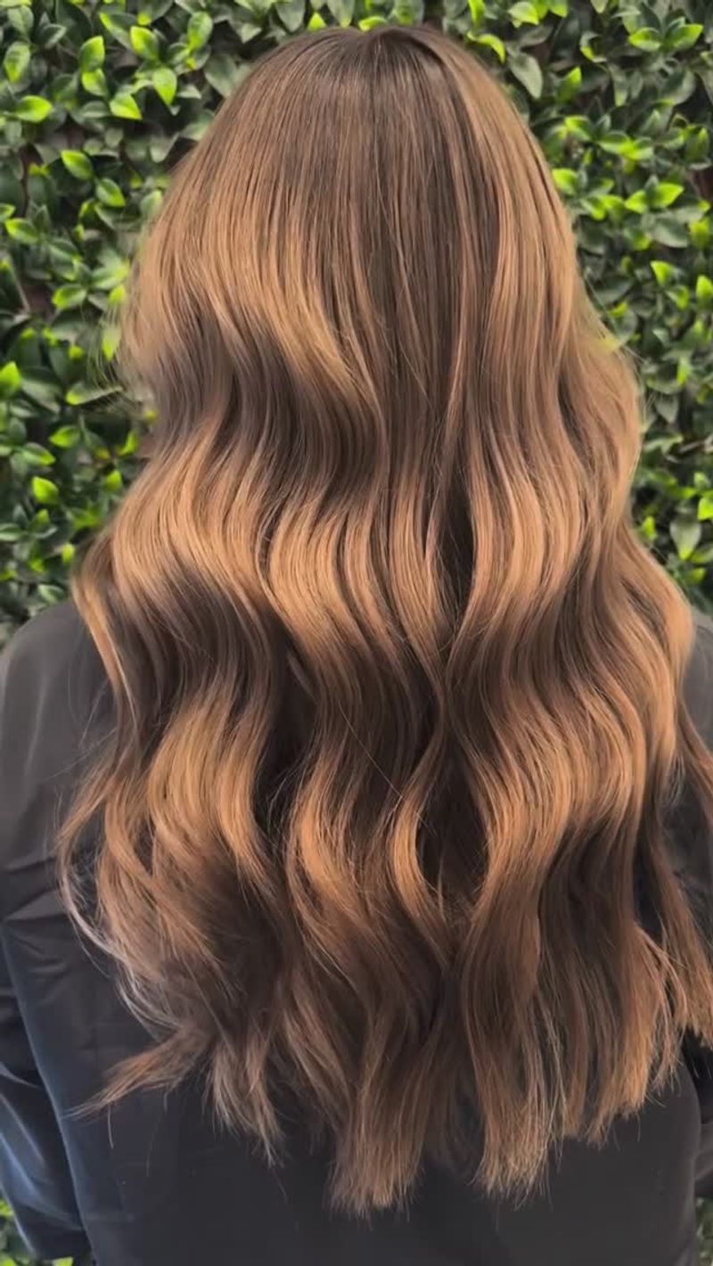 Shadow Roots