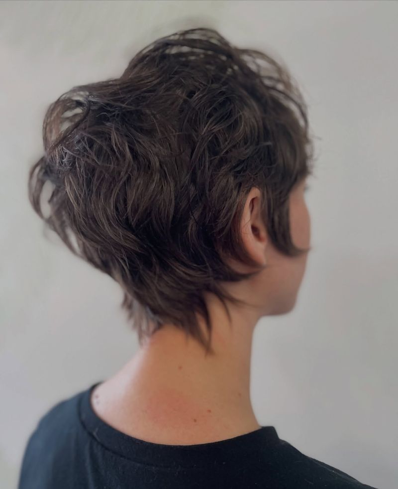 Wispy Pixie-Bob Hybrid