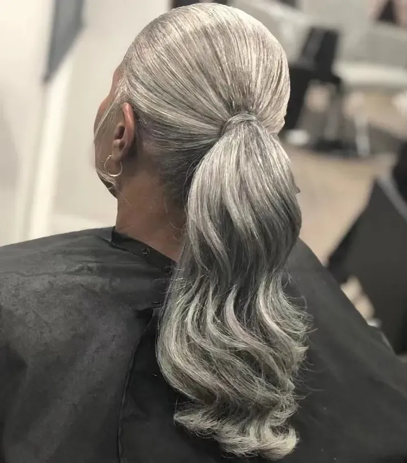 Gunmetal Gray Sleek Ponytail