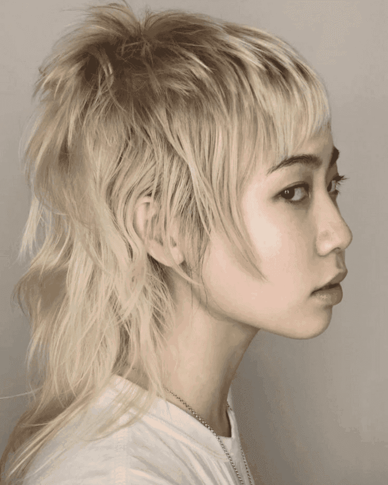 Pixie Mullet Hybrid