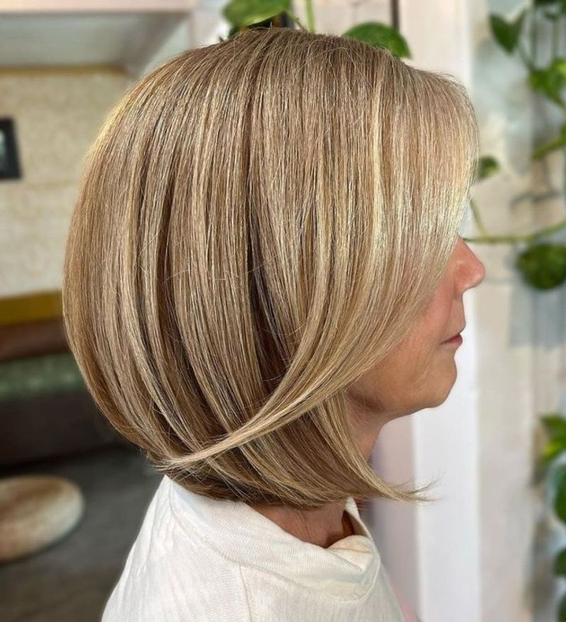 Bronde (Brown-Blonde) Fusion