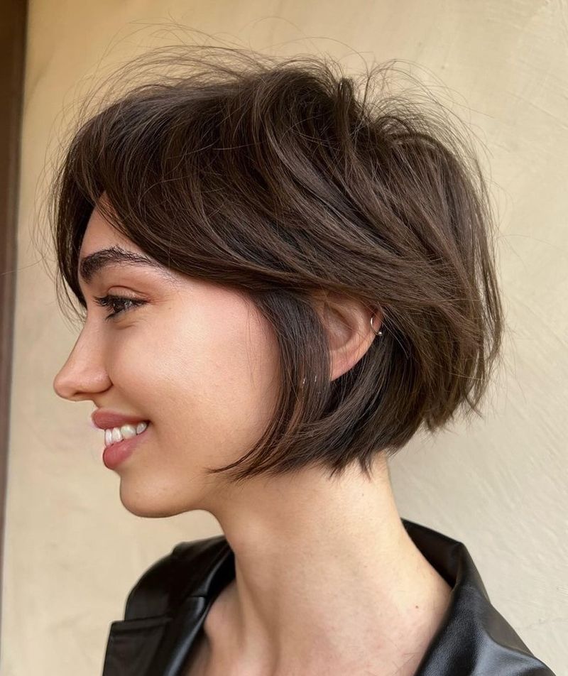 Pixie-Bob Hybrid