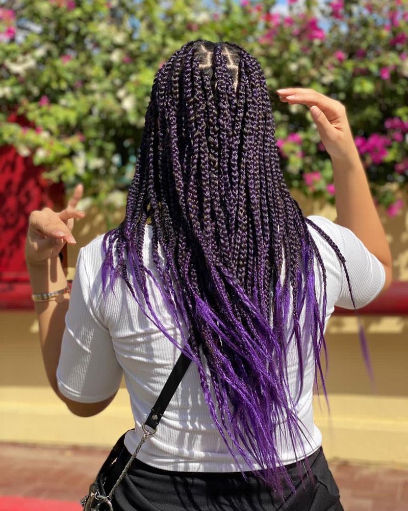 Colored Braids