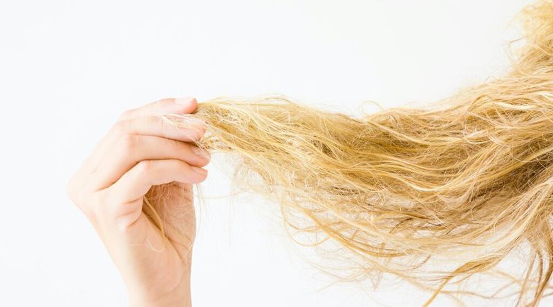 Extremely Dry, Damaged Ends