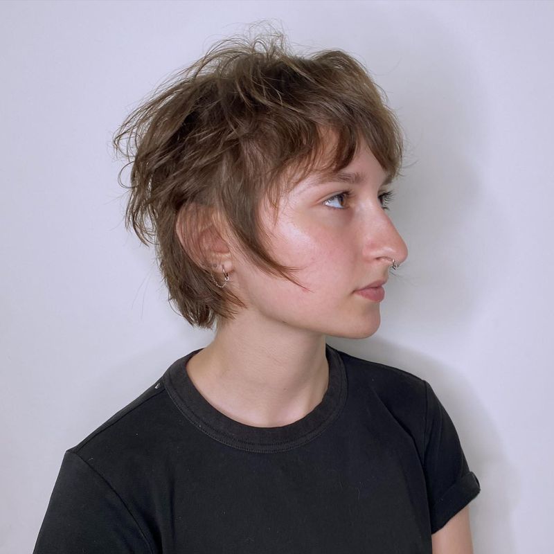 Low-Maintenance Pixie Bob