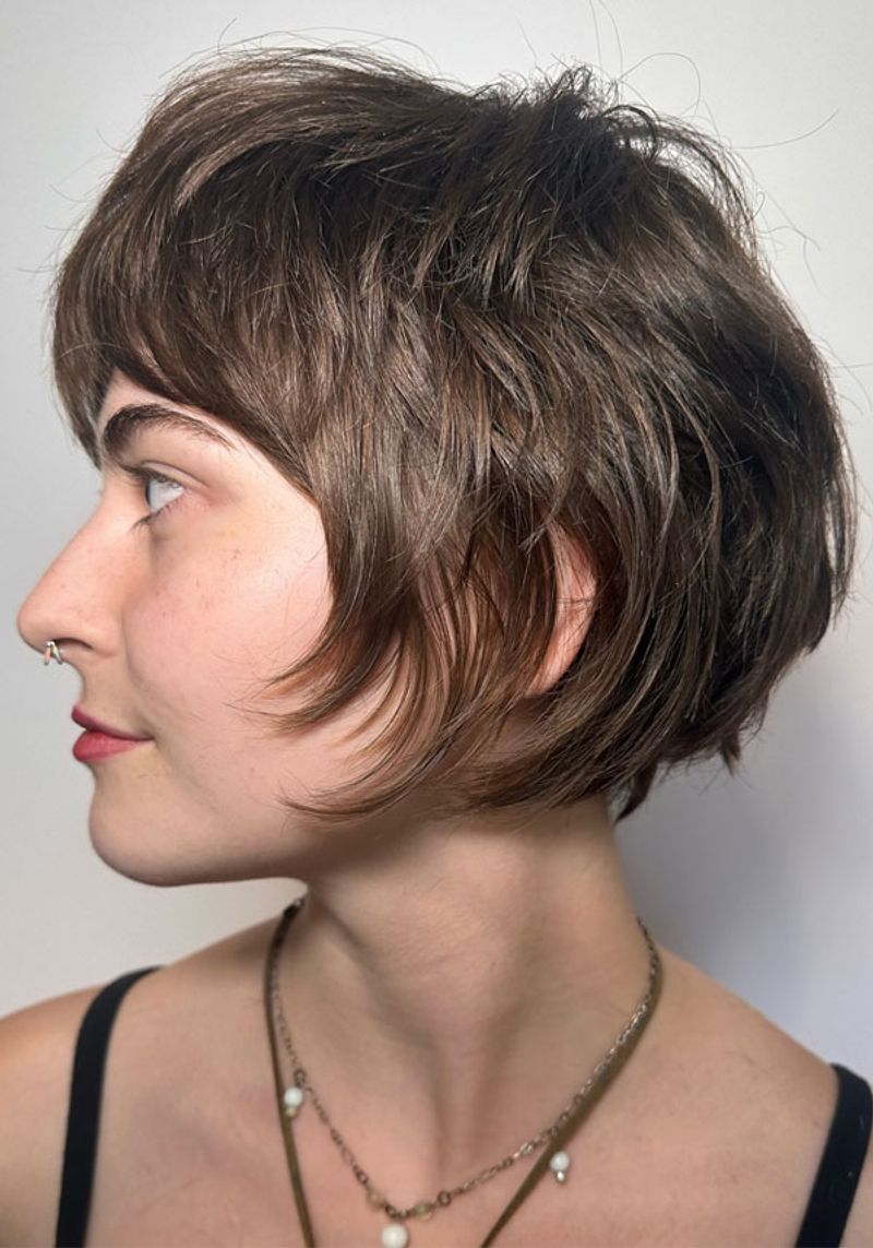 Textured Pixie Bob