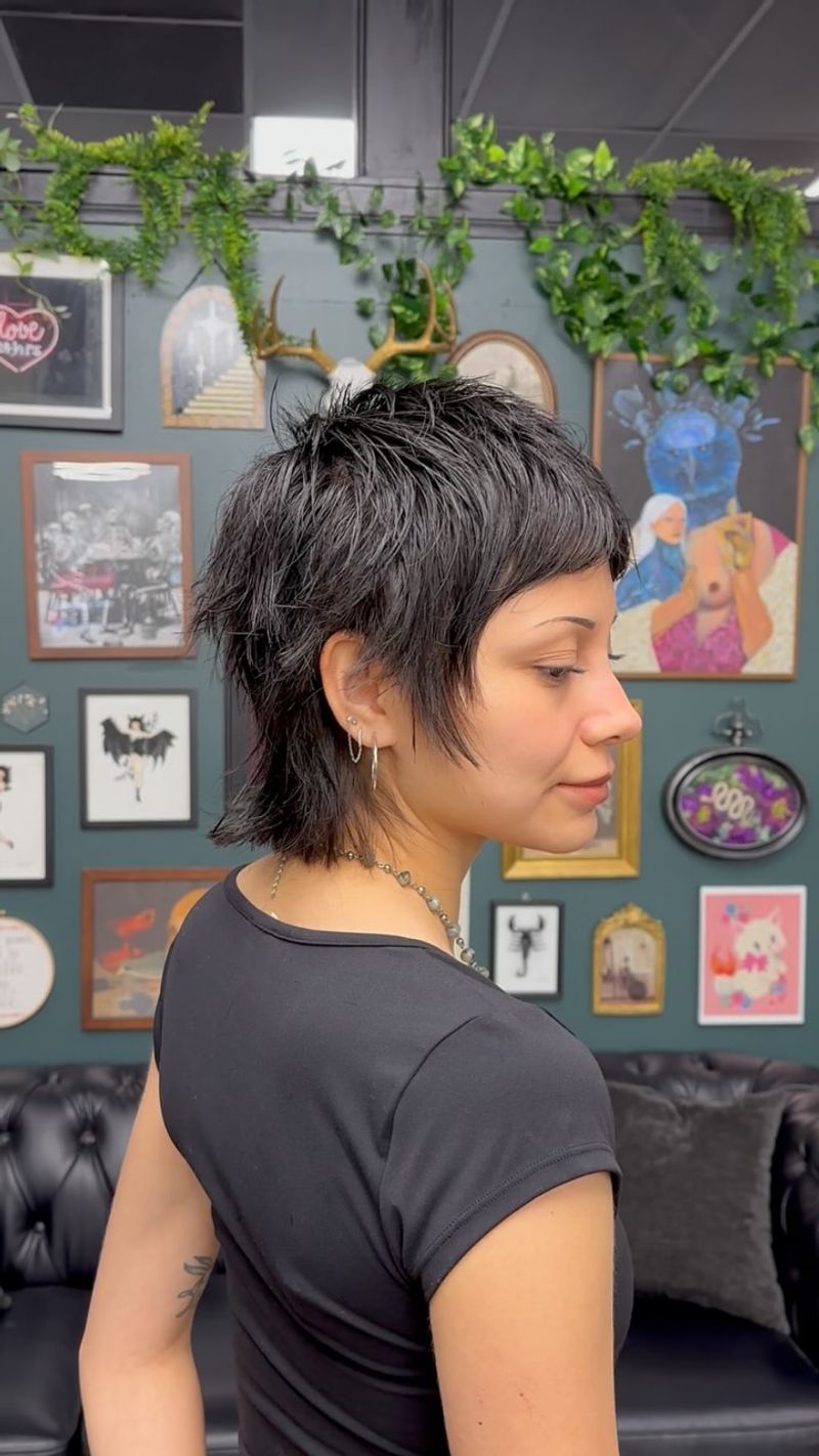 Rocker Mullet Shag