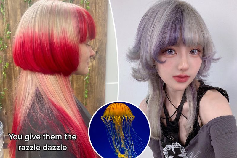 The Jellyfish Cut