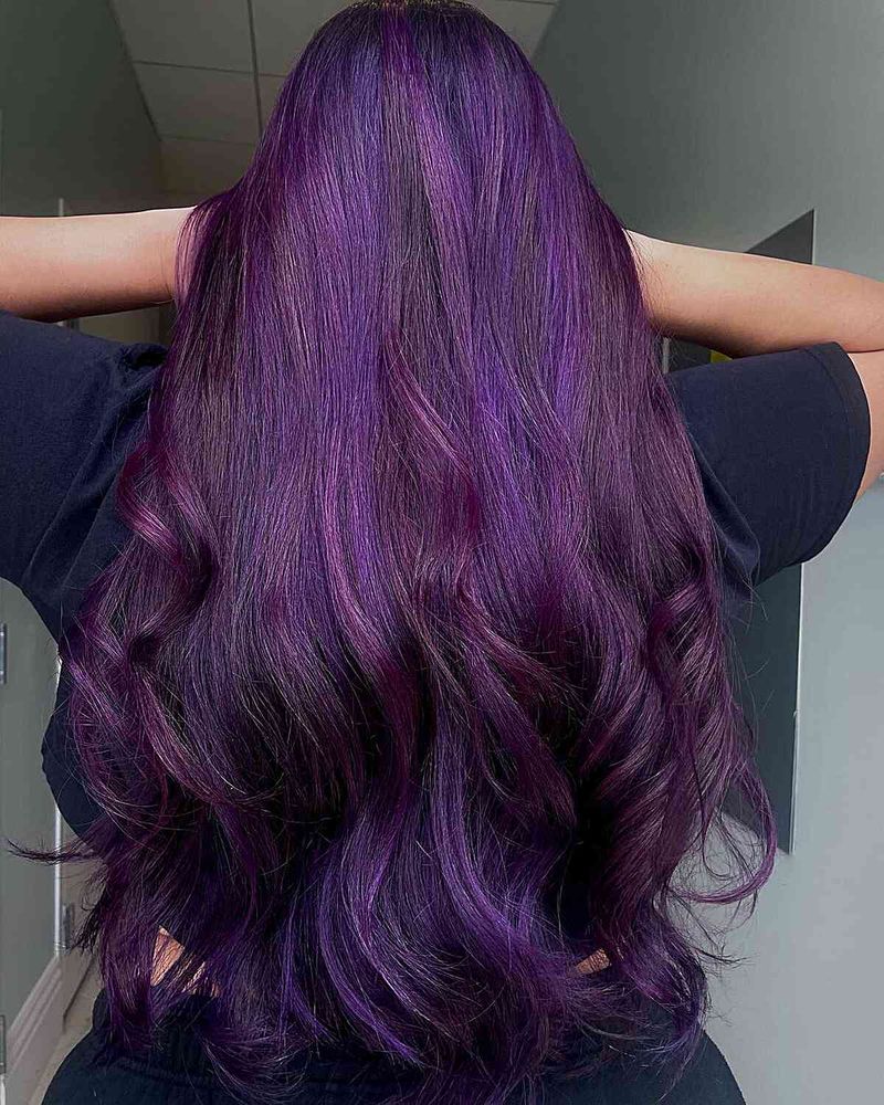 Midnight Plum