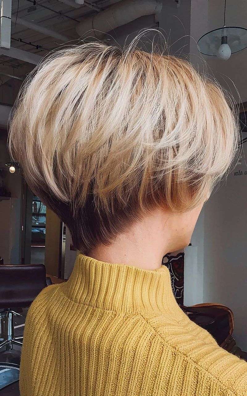 Pixie-Bob Hybrid with Tapered Nape