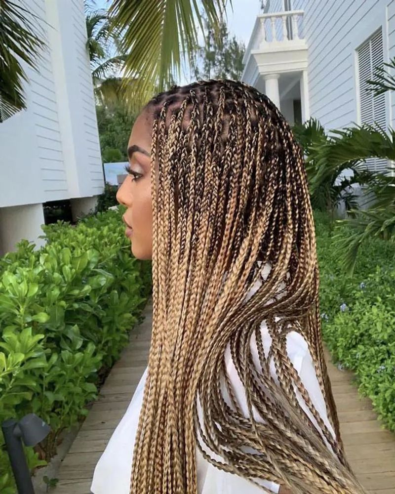 Knotless Box Braids