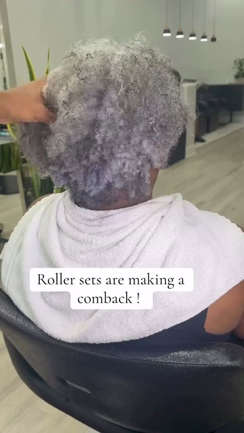 Roller Set Styles