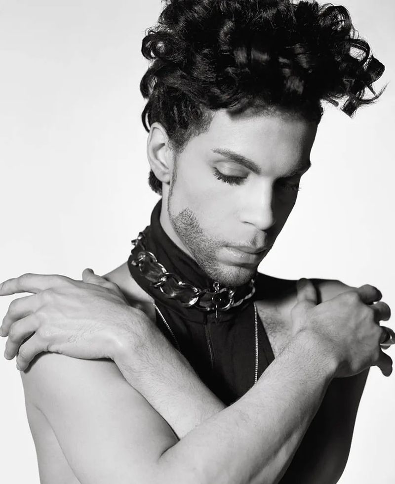 Prince's Curly Pompadour