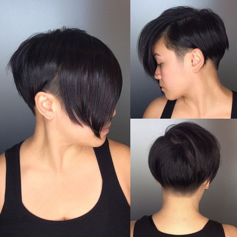 Blended Pixie-Bob