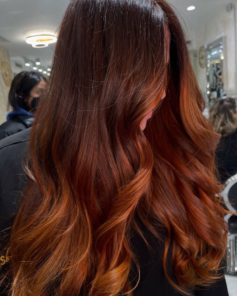 Ginger Root Shadow