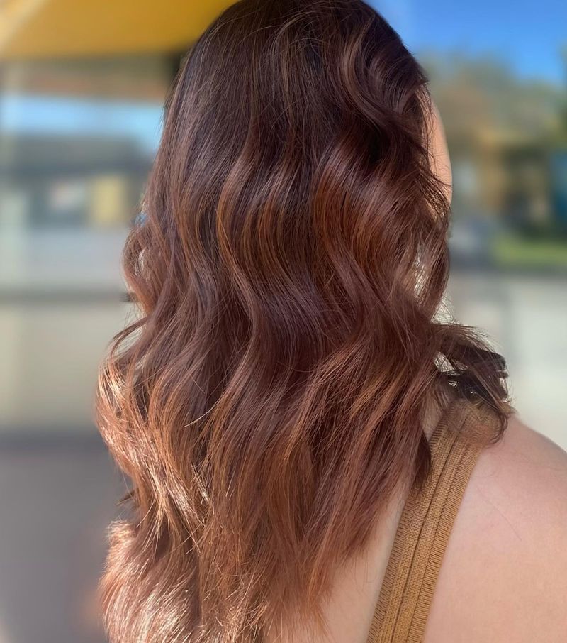 Chestnut Copper Fusion