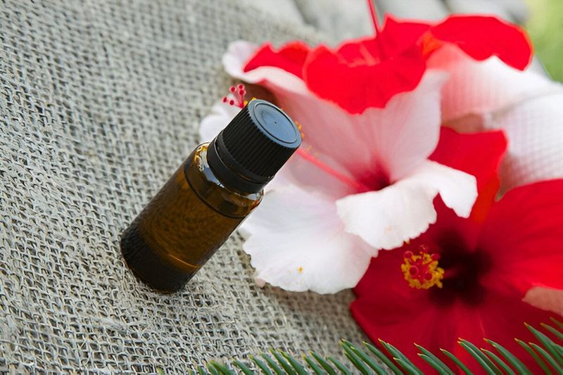 Hibiscus Flower Paste