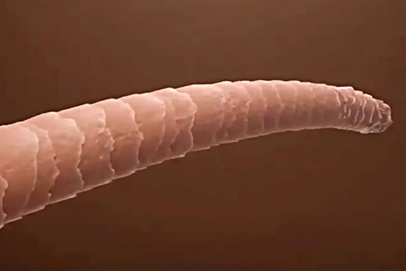 Individual Strand Diameter