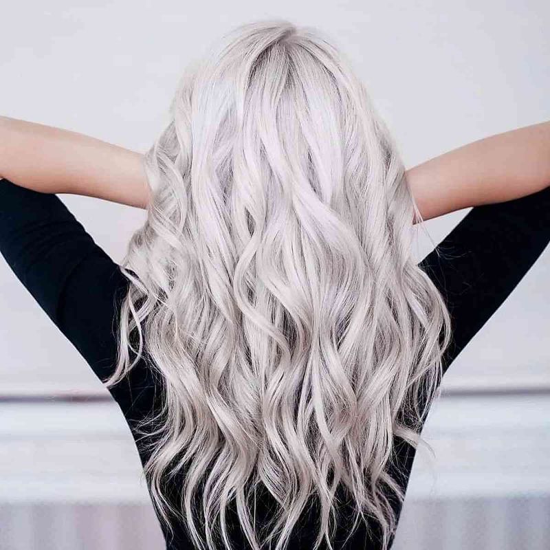 Silver Fox Blonde Blend
