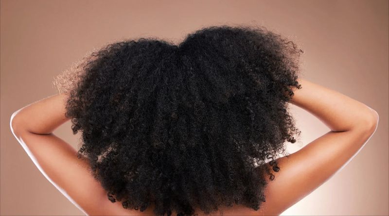 Moisture Is Queen