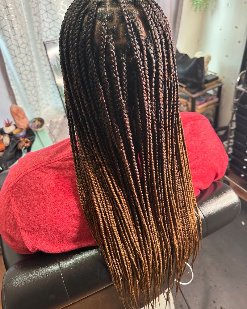 Knotless Braids with Ombré Effect