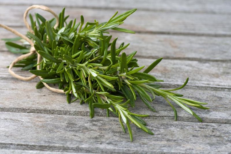 Rosemary Oil Stimulation
