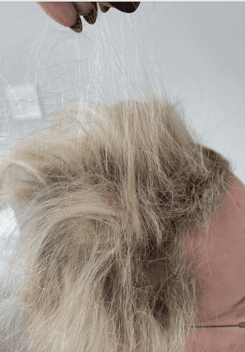 Chemical Treatment Aftermath