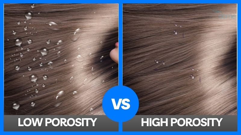 Coarse Hair's Relationship With Porosity